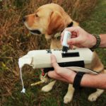 DT SYSTEMS SUPER PRO CANVAS WINGED TRAINING DUMMY FOR DOGS