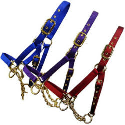 Valhoma® Cattle Control Halter with Chain