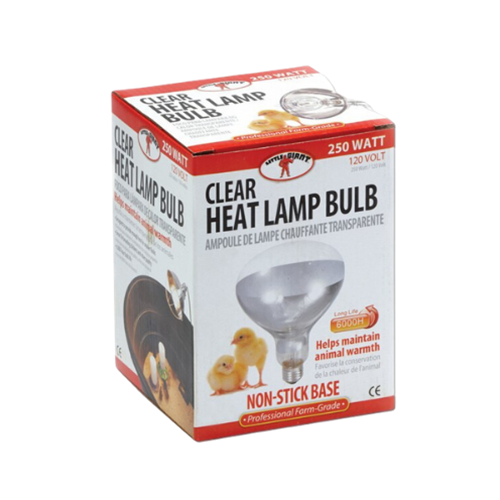 Little Giant® Chicken Heat Lamp Bulb