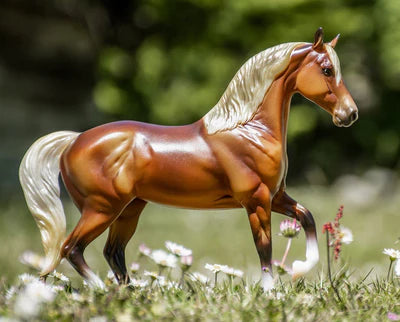 BREYER FREEDOM SERIES SILVERY BAY MORAB