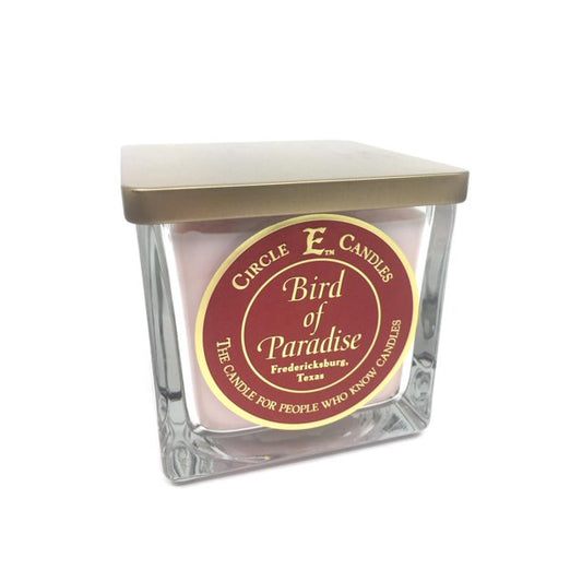 CIRCLE E CANDLES 8-22OZ