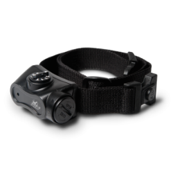 DT SYSTEMS BARK BOSS TRAINING COLLAR FOR DOGS