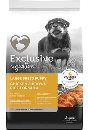 EXCLUSIVE LARGE BREED PUPPY CHICKEN & BROWN RICE FORMULA 30LB BAG