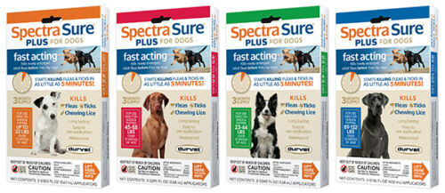 ZoGuard® Plus for Dogs & Cats Flea Spot On