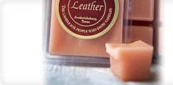 CIRCLE E CANDLES 6PK MINI TARTS FOR WAX/ CANDLE WARMERS